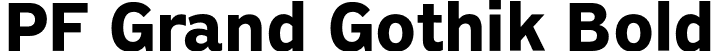 PF Grand Gothik Bold font - PFGrandGothik-Bold-subset.otf