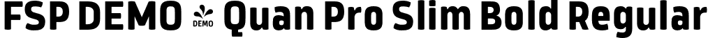 FSP DEMO - Quan Pro Slim Bold Regular font - Fontspring-DEMO-quanproslim-bold.otf