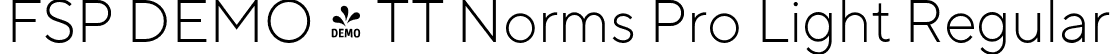 FSP DEMO - TT Norms Pro Light Regular font - Fontspring-DEMO-tt_norms_pro_light.otf