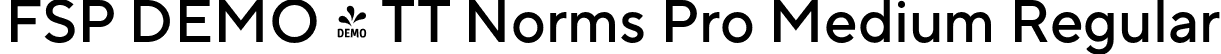 FSP DEMO - TT Norms Pro Medium Regular font - Fontspring-DEMO-tt_norms_pro_medium.otf
