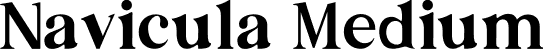 Navicula Medium font - Navicula.otf