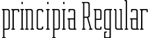 principia Regular font - principia.ttf