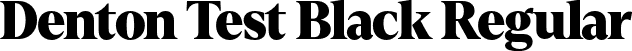 Denton Test Black Regular font - DentonTest-Black.otf