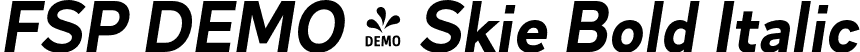 FSP DEMO - Skie Bold Italic font - Fontspring-DEMO-skie-bolditalic.otf