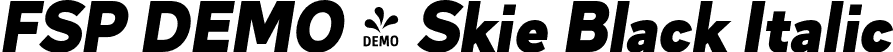 FSP DEMO - Skie Black Italic font - Fontspring-DEMO-skie-blackitalic.otf
