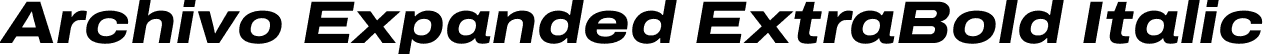 Archivo Expanded ExtraBold Italic font - Archivo_Expanded-ExtraBoldItalic.ttf