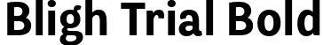 Bligh Trial Bold font - bligh-trial-bd.ttf