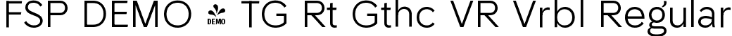 FSP DEMO - TG Rt Gthc VR Vrbl Regular font - Fontspring-DEMO-tgriotagothicvr-variablevf.ttf