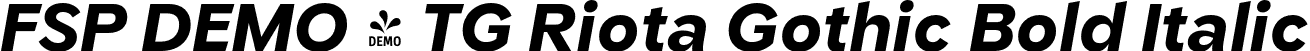 FSP DEMO - TG Riota Gothic Bold Italic font - Fontspring-DEMO-tgriotagothic-bolditalic.otf