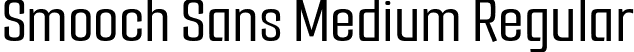 Smooch Sans Medium Regular font - SmoochSans-Medium.ttf