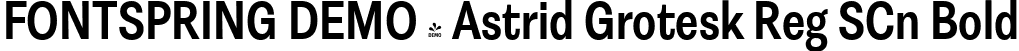 FONTSPRING DEMO - Astrid Grotesk Reg SCn Bold font - Fontspring-DEMO-astridgrotesk-bdscn.ttf