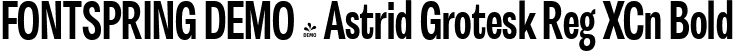 FONTSPRING DEMO - Astrid Grotesk Reg XCn Bold font - Fontspring-DEMO-astridgrotesk-bdxcn.ttf
