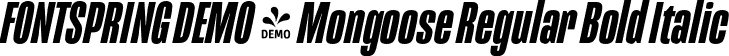 FONTSPRING DEMO - Mongoose Regular Bold Italic font - Fontspring-DEMO-mongoose-bolditalic.otf