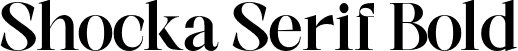 Shocka Serif Bold font - ShockaSerif-Bold.otf