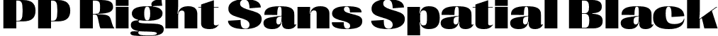 PP Right Sans Spatial Black font - PPRightSans-SpatialBlack.otf
