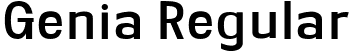 Genia Regular font - Geniapersonaluse-Regular.ttf
