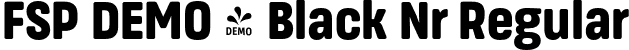 FSP DEMO - Black Nr Regular font - Fontspring-DEMO-masifardnr-black.otf