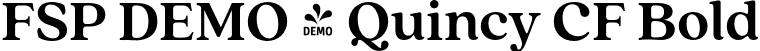 FSP DEMO - Quincy CF Bold font - Fontspring-DEMO-quincycf-bold.otf