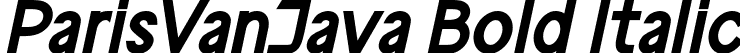 ParisVanJava Bold Italic font - ParisvanjavaBoldItalic-qZMY2.ttf