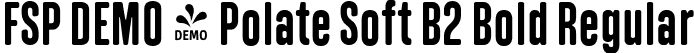 FSP DEMO - Polate Soft B2 Bold Regular font - Fontspring-DEMO-polatesoftb2-bold.ttf