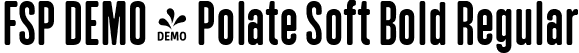 FSP DEMO - Polate Soft Bold Regular font - Fontspring-DEMO-polatesoft-bold.ttf