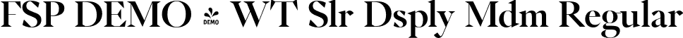 FSP DEMO - WT Slr Dsply Mdm Regular font - Fontspring-DEMO-wtsolaire-displaymedium.otf