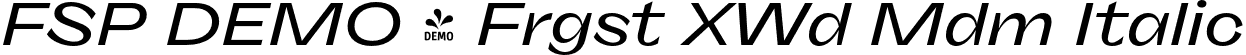 FSP DEMO - Frgst XWd Mdm Italic font - Fontspring-DEMO-freigeist-xwidemediumitalic.otf