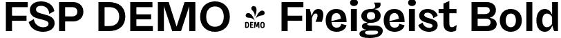 FSP DEMO - Freigeist Bold font - Fontspring-DEMO-freigeist-bold.otf
