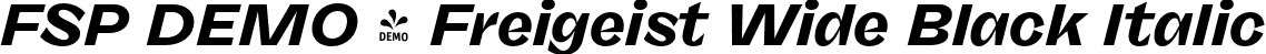 FSP DEMO - Freigeist Wide Black Italic font - Fontspring-DEMO-freigeist-wideblackitalic.otf