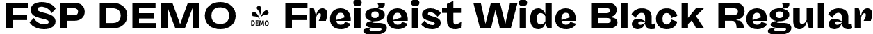 FSP DEMO - Freigeist Wide Black Regular font - Fontspring-DEMO-freigeist-wideblack.otf