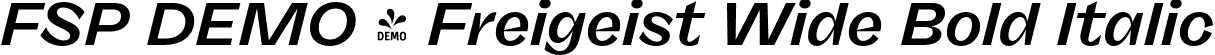 FSP DEMO - Freigeist Wide Bold Italic font - Fontspring-DEMO-freigeist-widebolditalic.otf