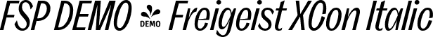 FSP DEMO - Freigeist XCon Italic font - Fontspring-DEMO-freigeist-xconregularitalic.otf