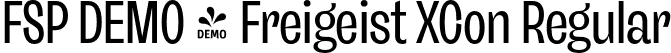 FSP DEMO - Freigeist XCon Regular font - Fontspring-DEMO-freigeist-xconregular.otf