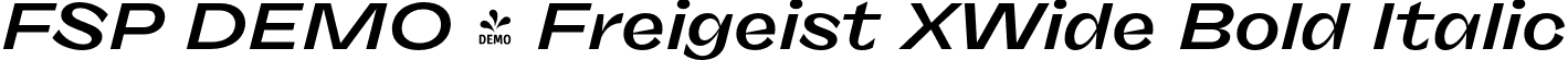 FSP DEMO - Freigeist XWide Bold Italic font - Fontspring-DEMO-freigeist-xwidebolditalic.otf