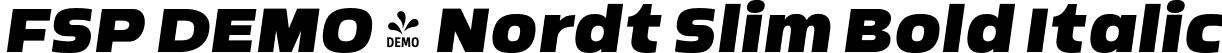 FSP DEMO - Nordt Slim Bold Italic font - Fontspring-DEMO-nordtslim-bolditalic.otf