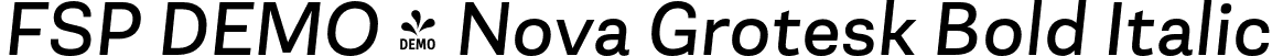 FSP DEMO - Nova Grotesk Bold Italic font - Fontspring-DEMO-novagroteskstd-bdit.otf