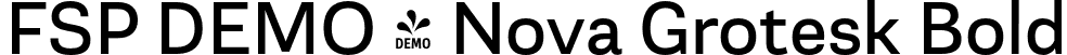 FSP DEMO - Nova Grotesk Bold font - Fontspring-DEMO-novagroteskstd-bd.otf