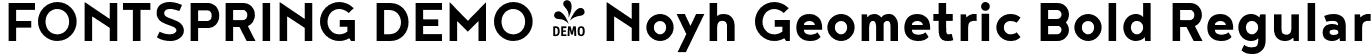 FONTSPRING DEMO - Noyh Geometric Bold Regular font - Fontspring-DEMO-noyhgeometric-bold.otf