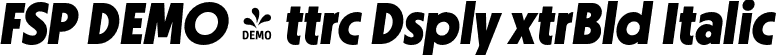 FSP DEMO - ttrc Dsply xtrBld Italic font - Fontspring-DEMO-ottercodisplay-extrabolditalic.otf