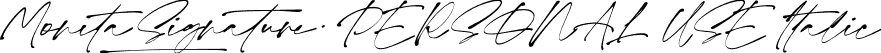 Monita Signature PERSONAL USE Italic font - MonitaSignaturePersonalUseRegularItalic-GOeyP.otf