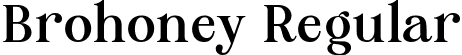 Brohoney Regular font - BrohoneyRegular-w1OK3.ttf