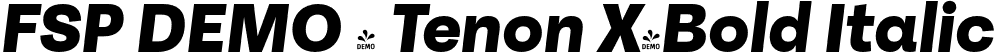 FSP DEMO - Tenon X-Bold Italic font - Fontspring-DEMO-tenon-xbolditalic.otf
