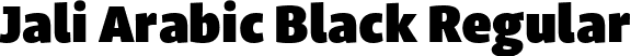 Jali Arabic Black Regular font - Jali Arabic Black.ttf