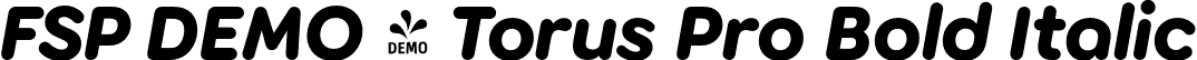 FSP DEMO - Torus Pro Bold Italic font - Fontspring-DEMO-toruspro-bolditalic.otf