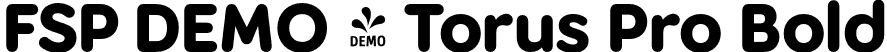 FSP DEMO - Torus Pro Bold font - Fontspring-DEMO-toruspro-bold.otf