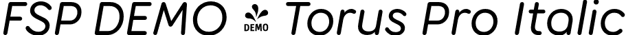 FSP DEMO - Torus Pro Italic font - Fontspring-DEMO-toruspro-italic.otf