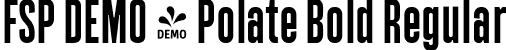 FSP DEMO - Polate Bold Regular font - Fontspring-DEMO-polate-bold.ttf