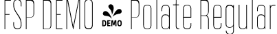 FSP DEMO - Polate Regular font - Fontspring-DEMO-polate-thin.ttf