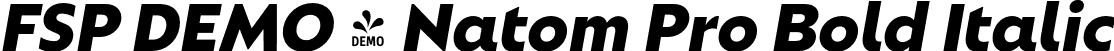 FSP DEMO - Natom Pro Bold Italic font - Fontspring-DEMO-natompro-bolditalic.otf