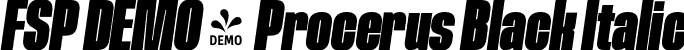 FSP DEMO - Procerus Black Italic font - Fontspring-DEMO-procerus-900-black-italic.otf